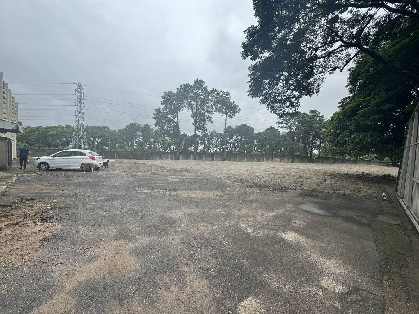 Depósito-Galpão-Armazém para alugar, 4000m² - Foto 6