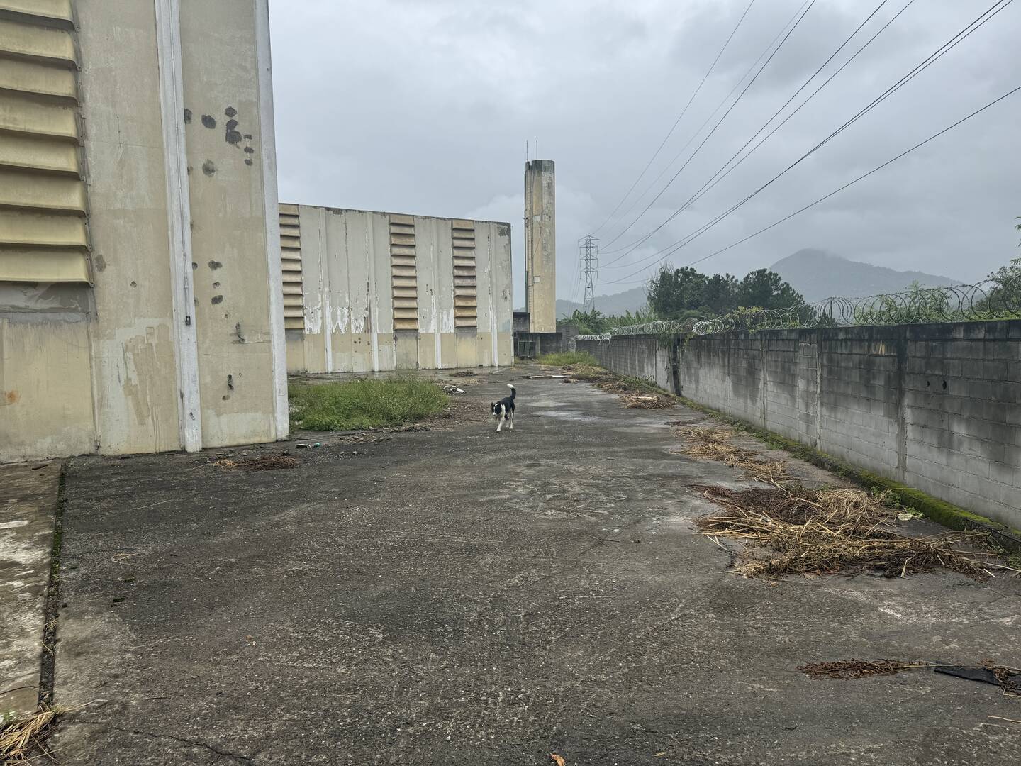 Depósito-Galpão-Armazém para alugar, 4000m² - Foto 19